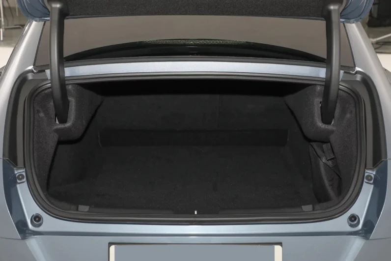 GWM Ora Lightening Cat