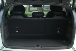 Neta S Shooting Brake