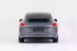 GWM Ora Lightening Cat